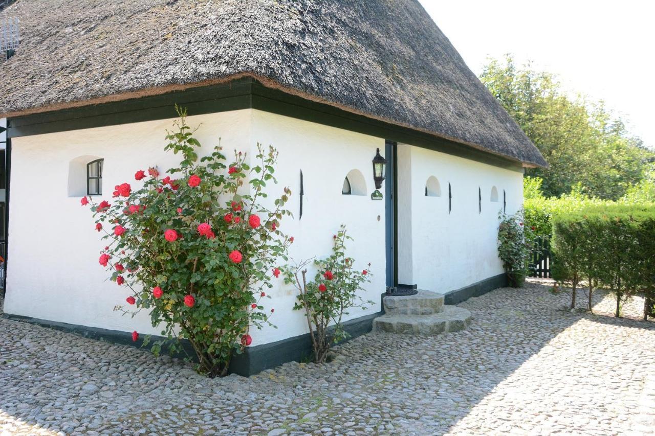 Foehrienhaus Villa Midlum  Exterior foto